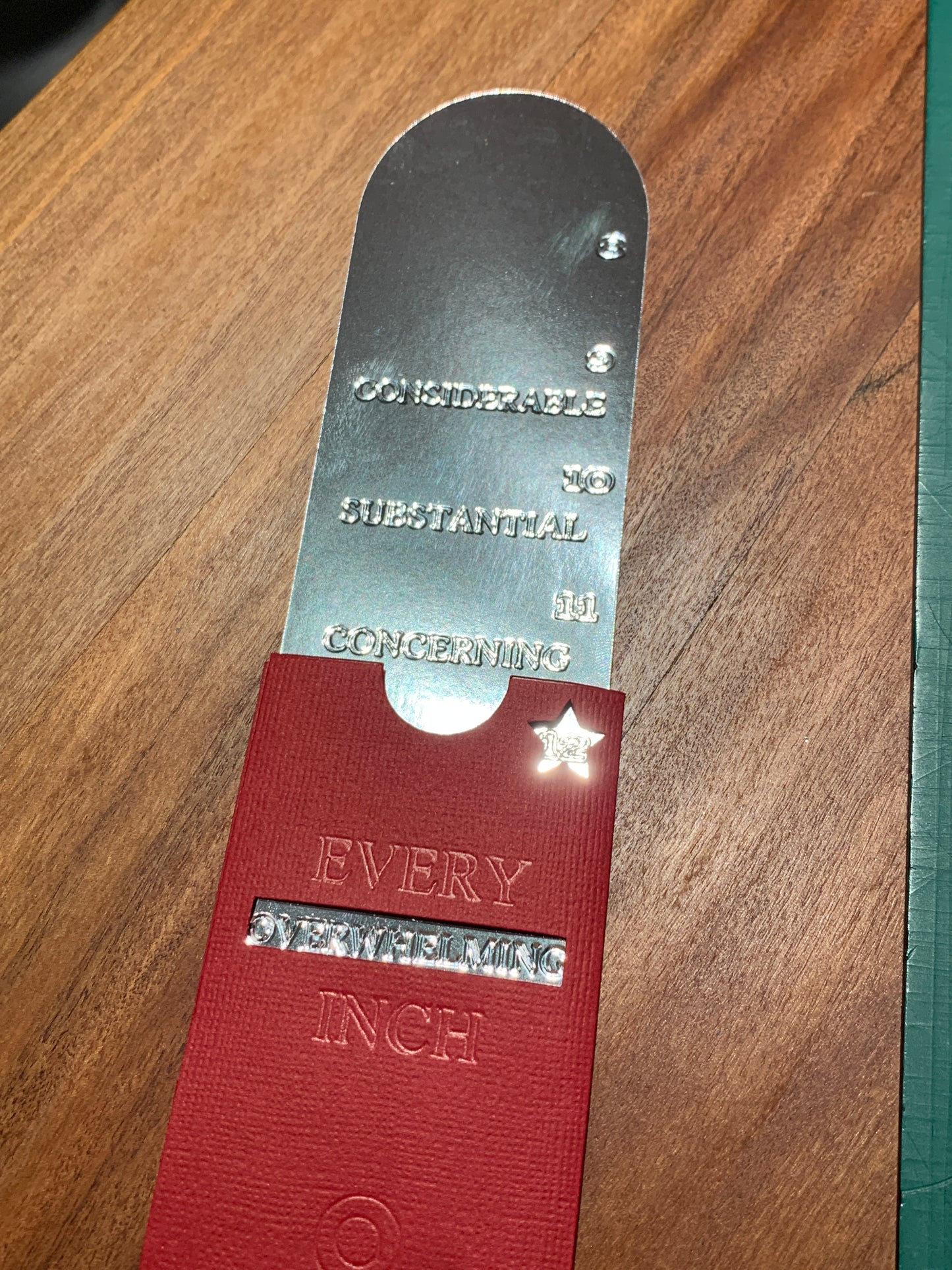 Measuring Bookmark - Silver